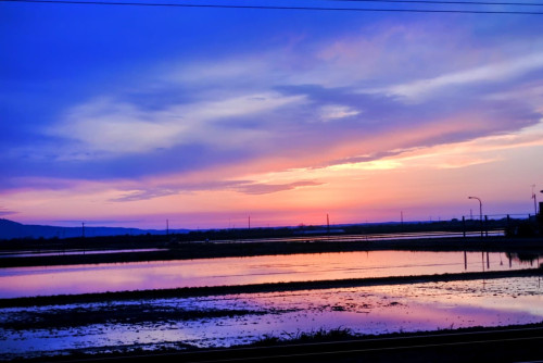 【井川町の部】6 DSC02363_1~2 - 相馬容子.JPG