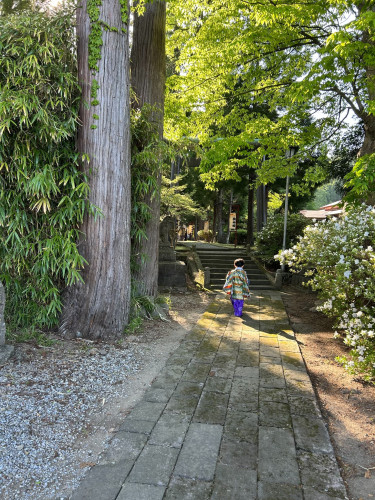 【五城目町の部】１２IMG_0704 - トラmama.jpeg