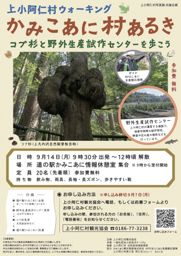 かみこあに村あるきチラシ.jpg