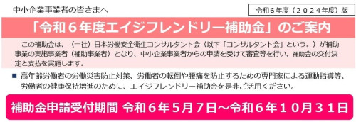 別添2_リーフレット_エイジフレンドリー補助金 アイコン.jpg