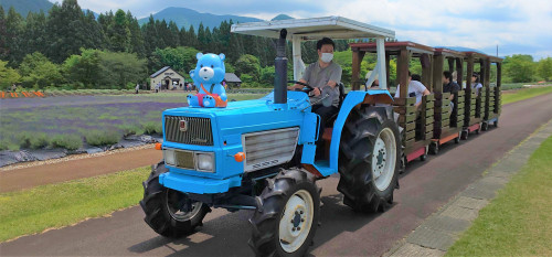こぐまちゃん号運行.jpg
