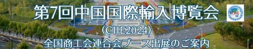 ③CIIE2024_チラシ_アイコン.jpg
