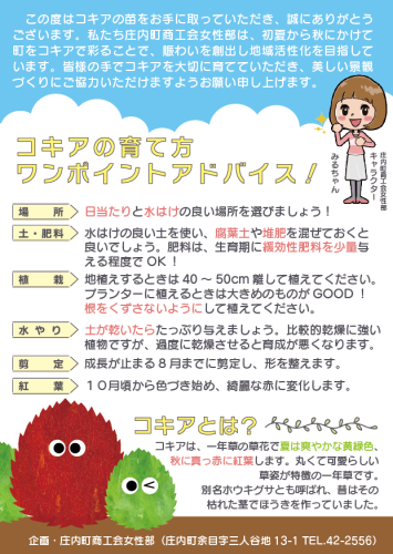 2025コキアポスカ.png