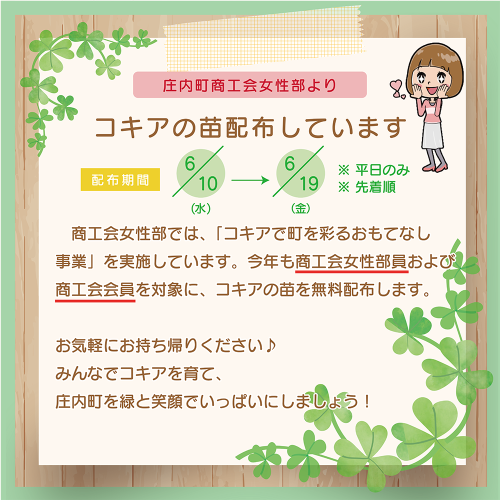 コキア.png