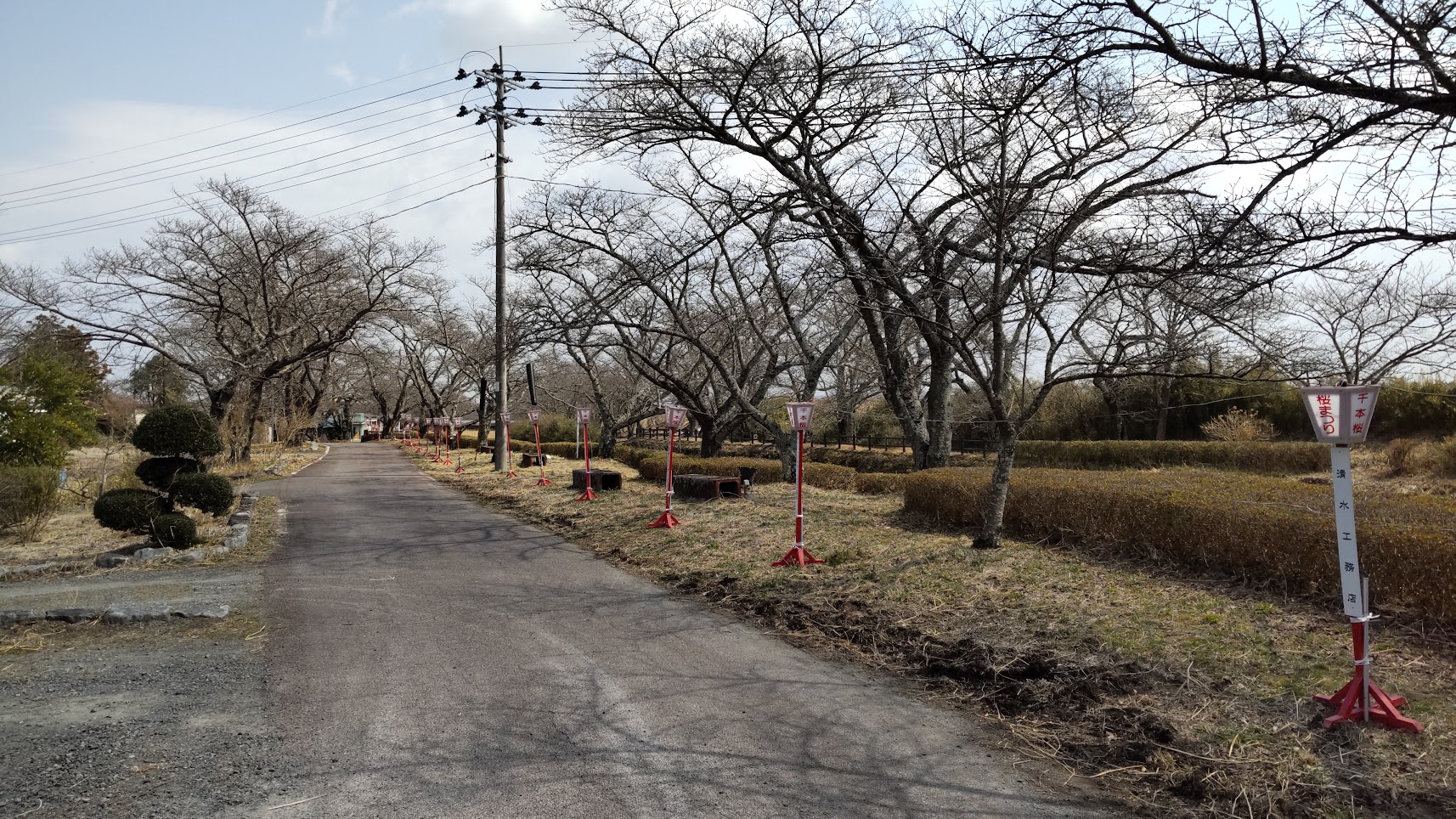 笹原川　ぼんぼり設置完了！