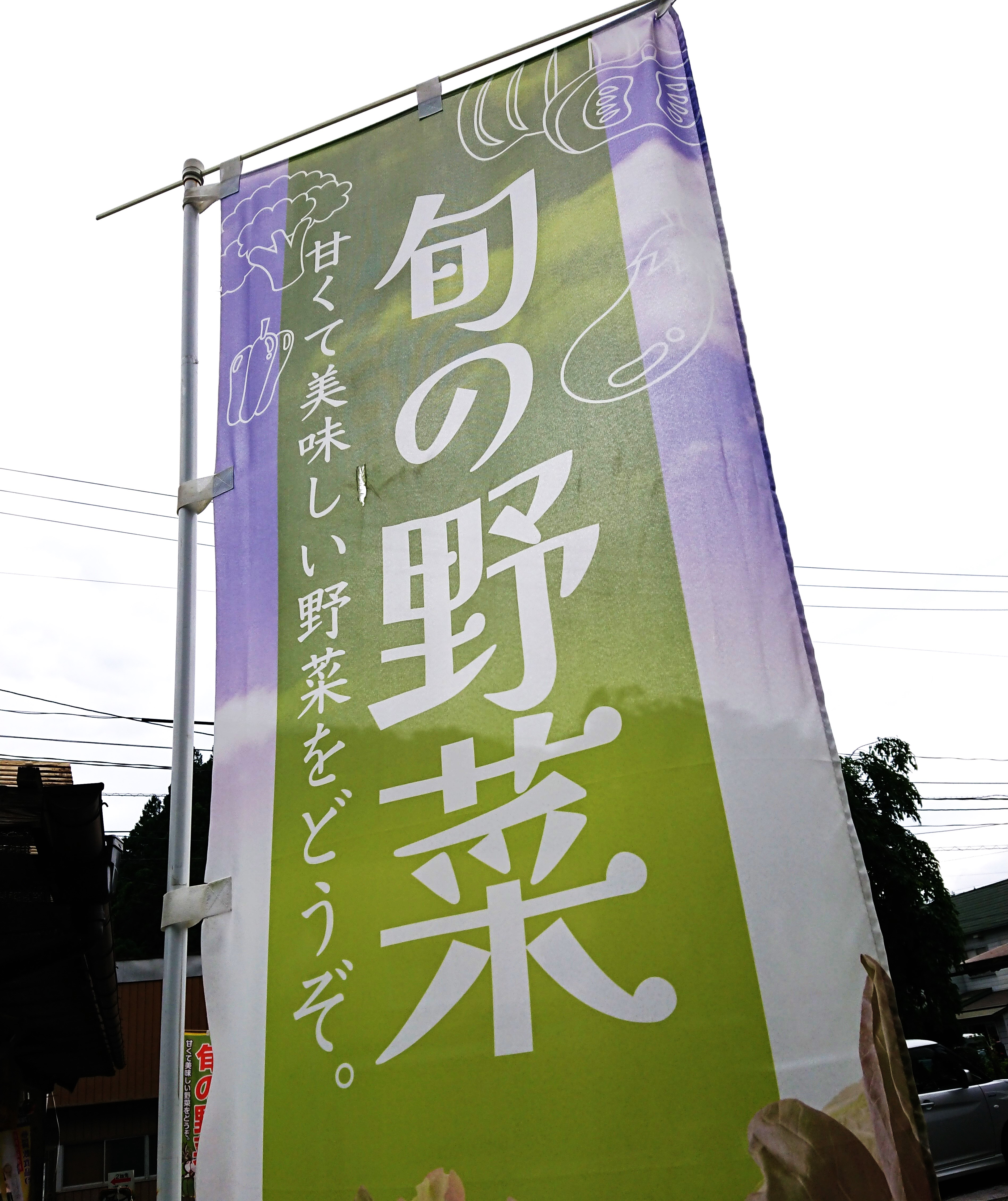 【会員情報】中田町生産物直売所「旬の野菜とブルーベリーが真っ盛り！」