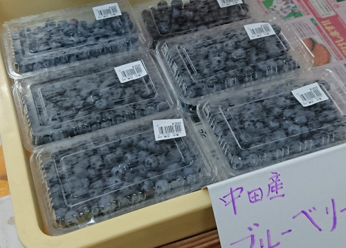 ➄ブルーベリー（インスタ用）.JPG