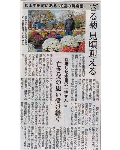 桜里の菊楽園.jpg