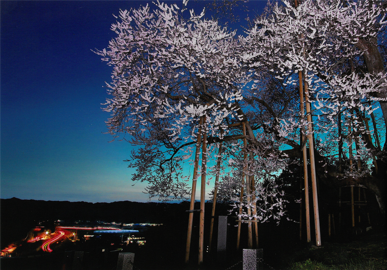 戸津辺の夜景