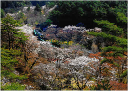 特別賞『水郡線が行く』.jpg
