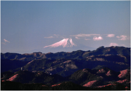 特別賞『霜月　早朝の富士山』.jpg