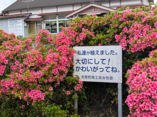 PXL_20250610_010230784.jpg
