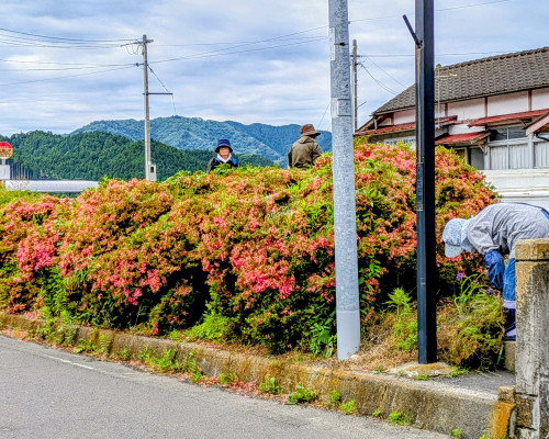PXL_20260609_234743860~2-EDIT.jpg