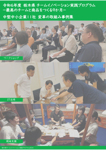 令和6年度 栃木県 チームイノベーション実践プログラム  参加企業事例集.png