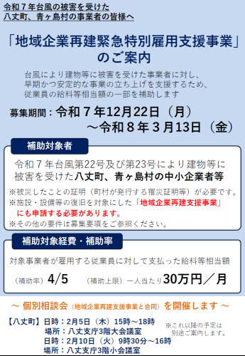 地域企業再建緊急特別雇用支援事業(2月対応版）.png