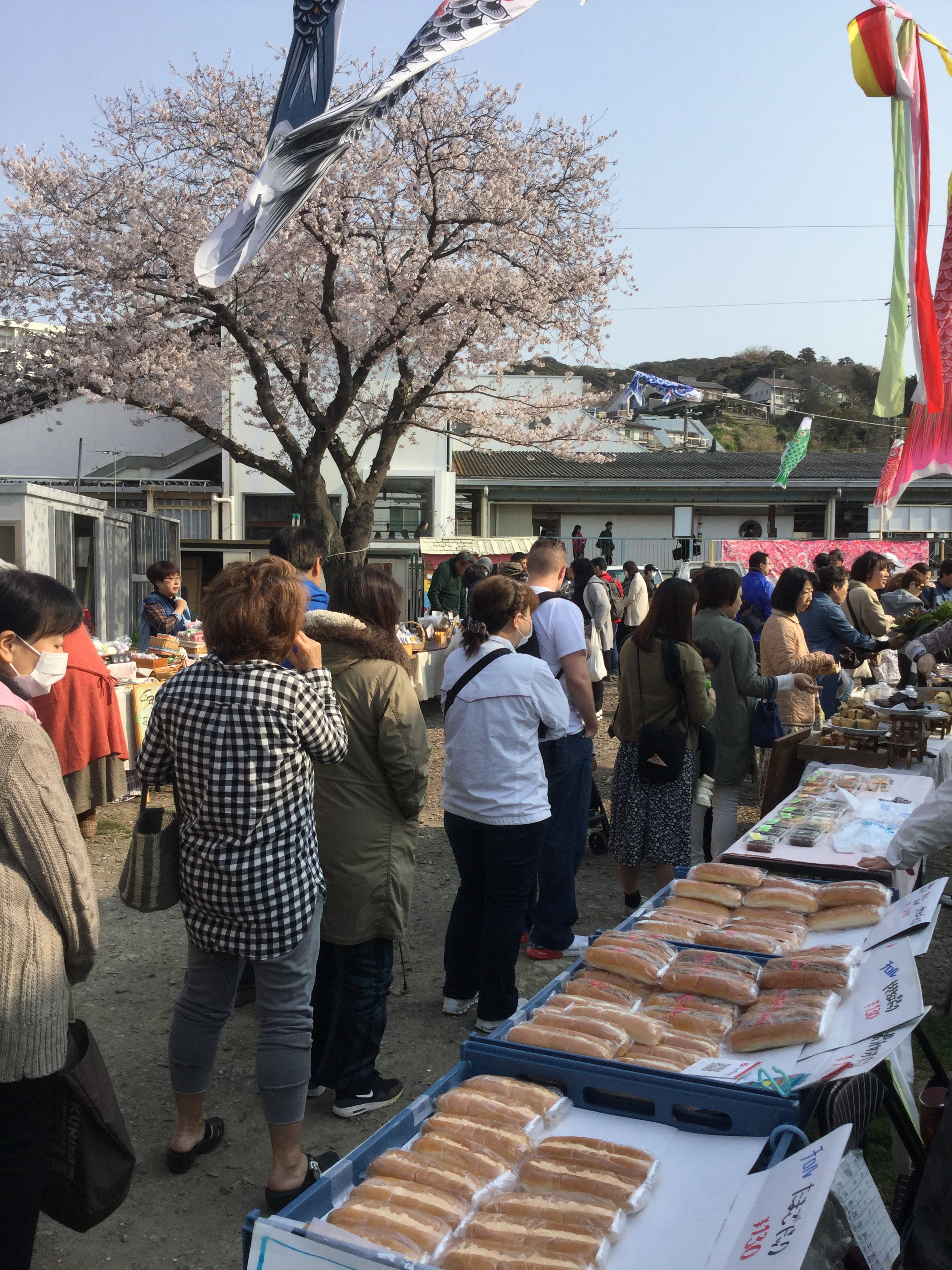 東逗子朝市