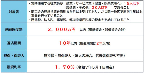 マル経融資詳細.JPG
