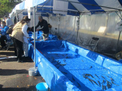 1IMG_3477.jpg