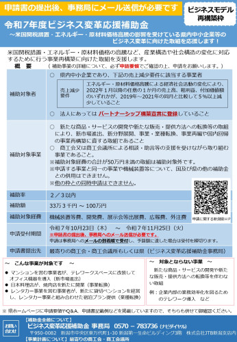 R071024_新潟県令和７年度ビジネス変革応援補助金チラシ_page-0001.jpg