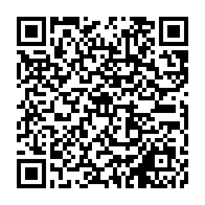 QR_979941.png