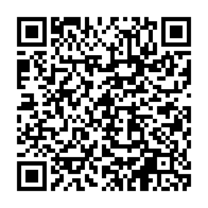 QR_842146.png