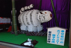 img4c47b15bdcced.jpg