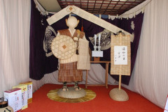 img4c47c890746e8.jpg