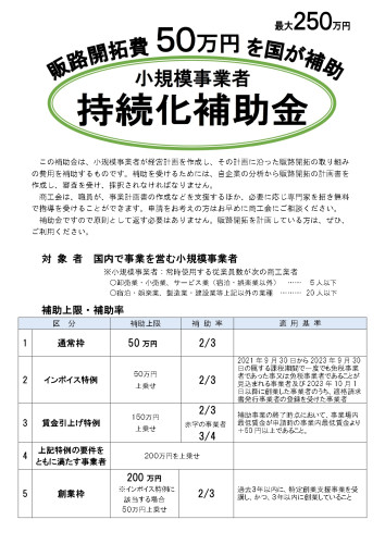 持続化補助金チラシ表.jpg