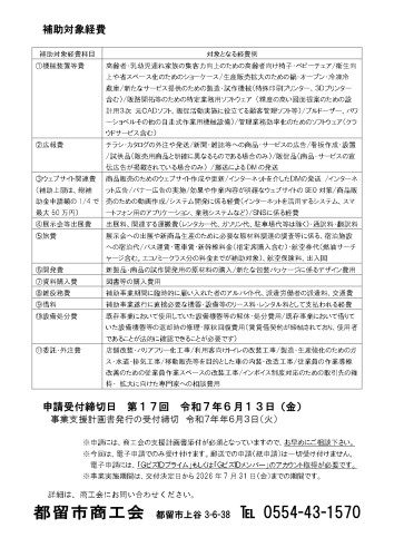 持続化補助金チラシ裏.jpg