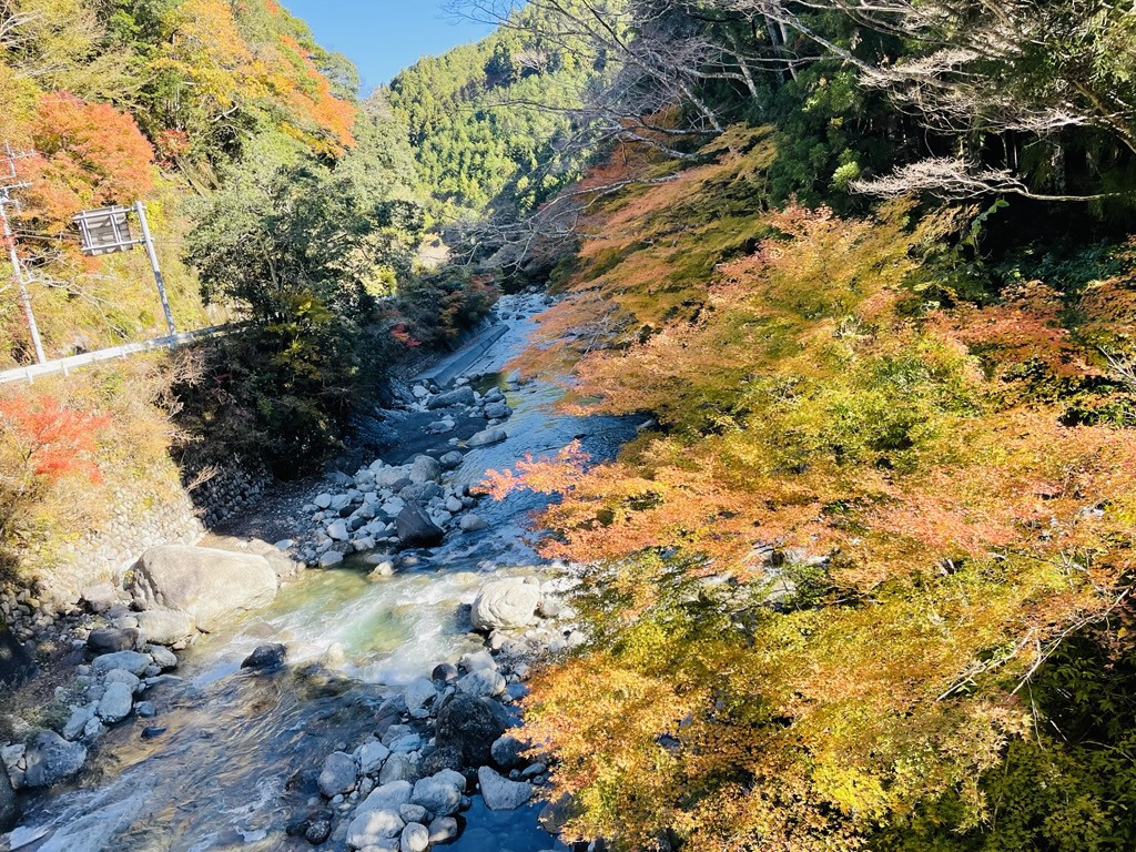 富士川水系の紅葉