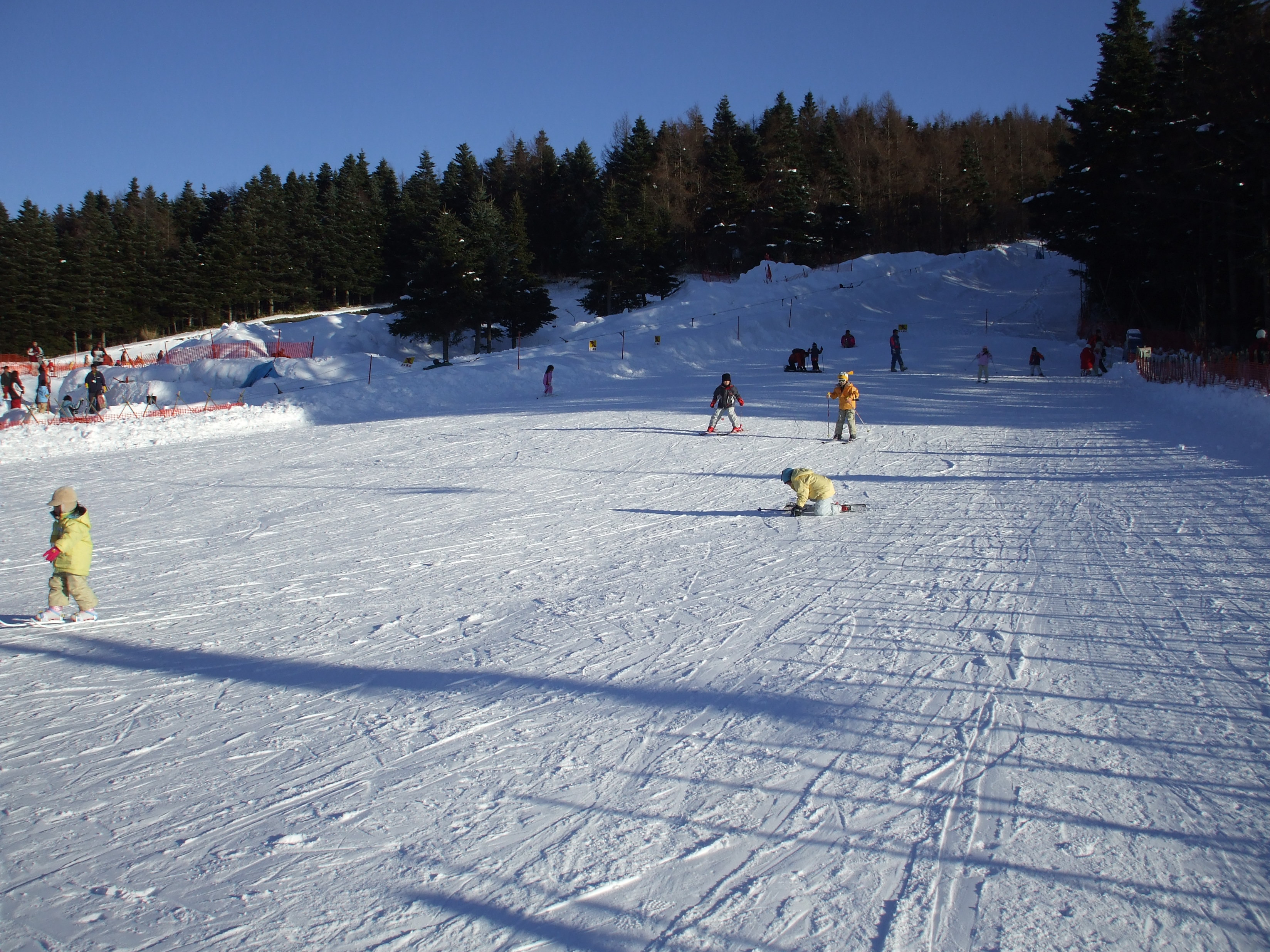 【テスト配信】