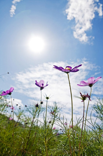 道の駅まつり＆商工祭が開催されます。