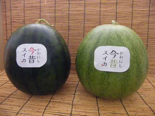 DSCF6979.JPG