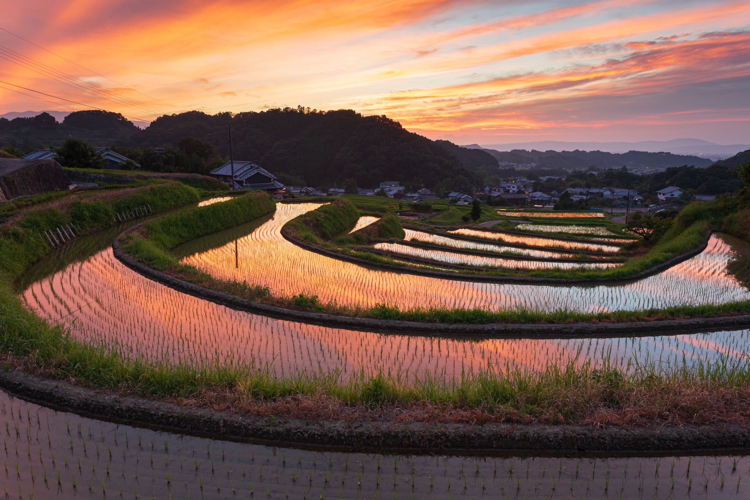 細川の棚田｜ 夕日に染まる棚田は、四季の中でもひときわ美しい明日香の原風景