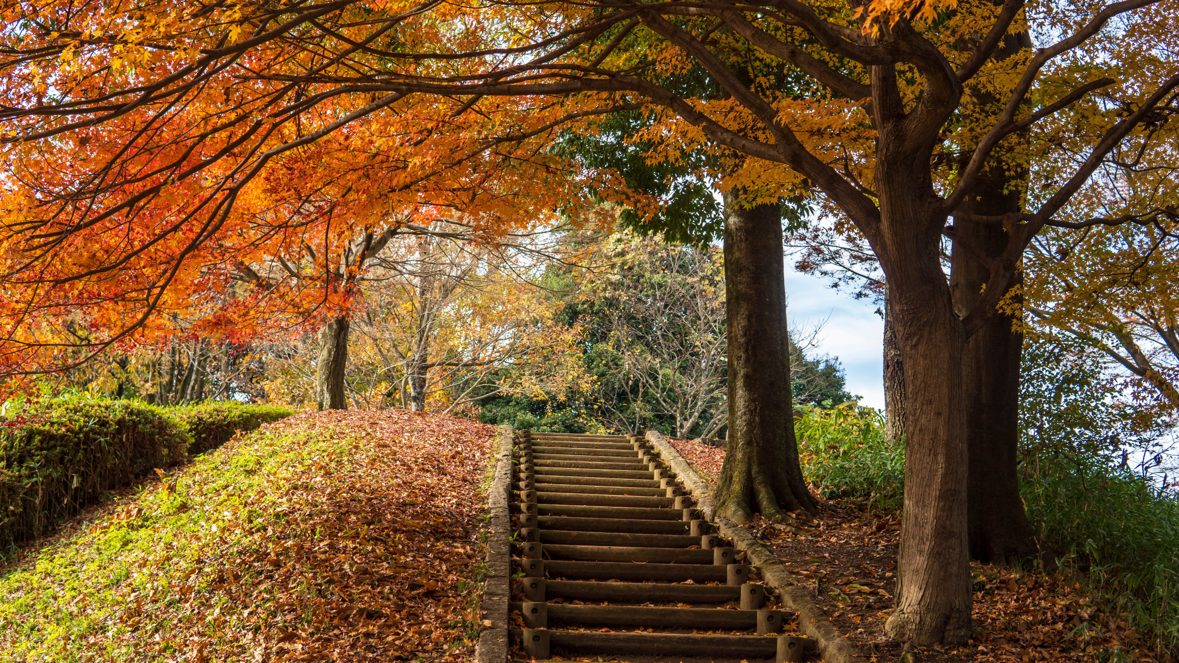 秋の景色｜ 国営飛鳥歴史公園で出会える紅葉や草木が、秋の訪れを優しく告げてくれる