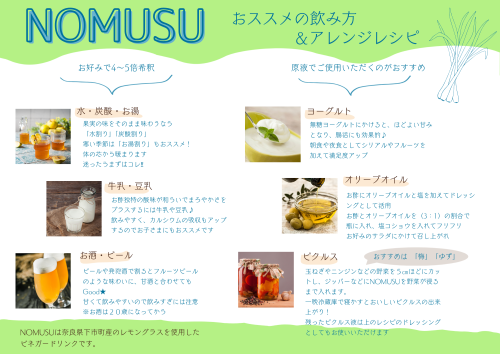 NOMUSU 飲み方パンフレット　HP用.png