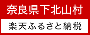 楽天.png