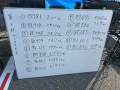 IMG_0309.JPEG
