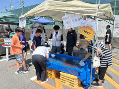 IMG_0172.JPEG