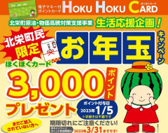 お年玉キャンペーン.jpg