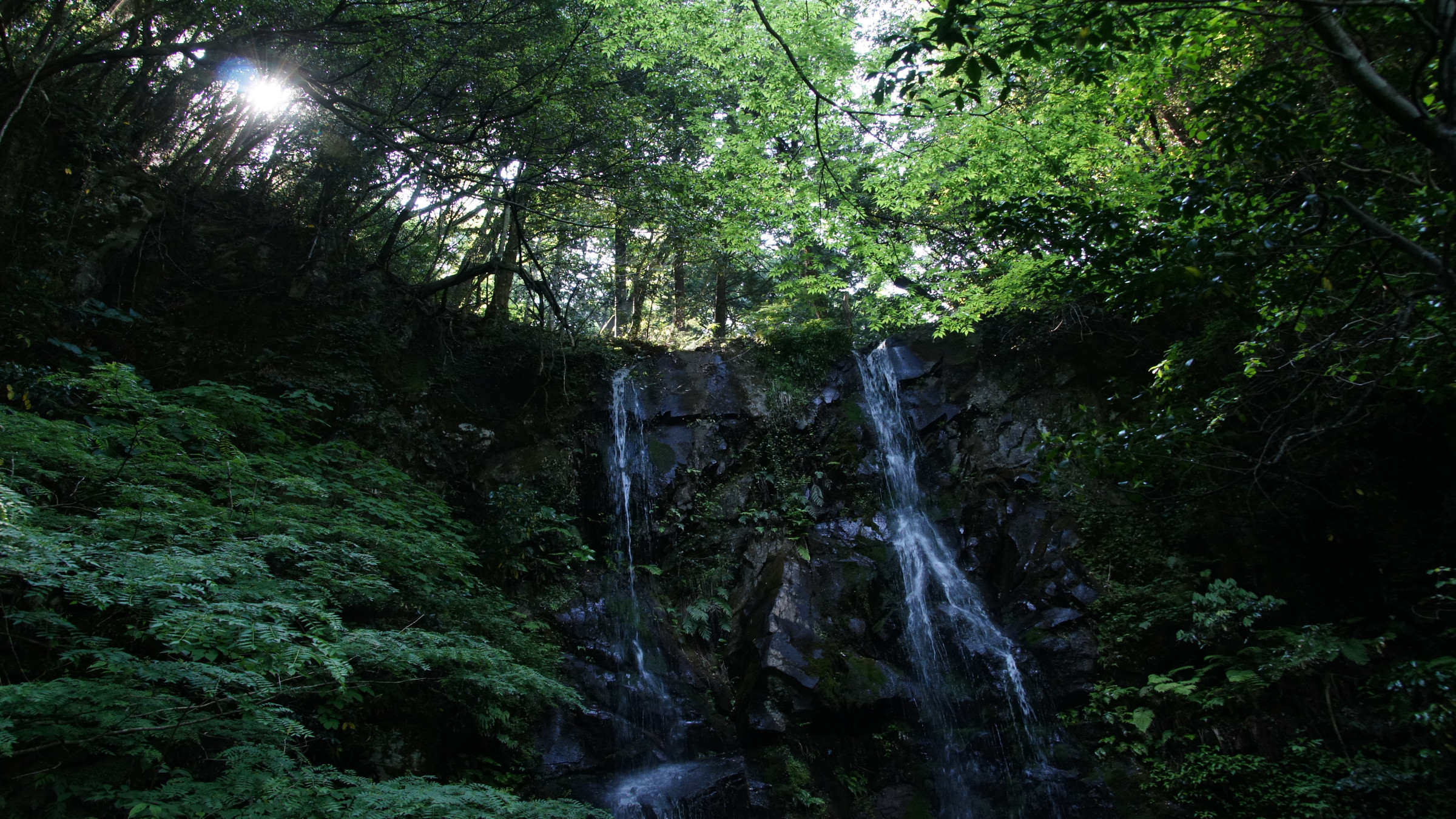 滝の朝