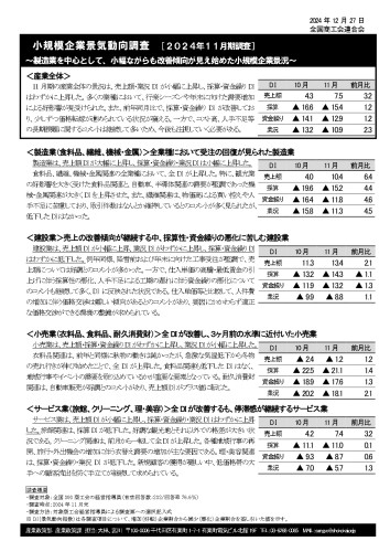 2024年11月期景気動向調査結果_page-0001.jpg