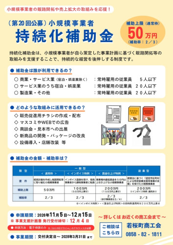 第20回 持続化補助金チラシ.jpg