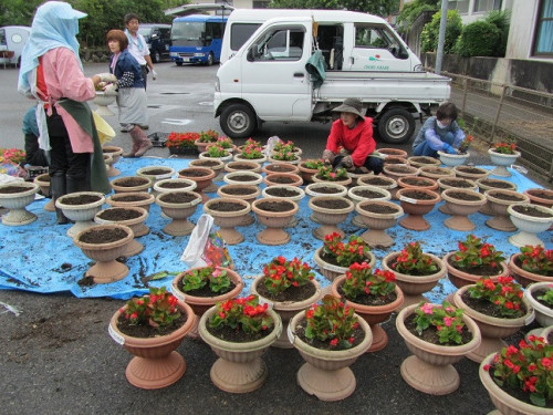 花の植替え.JPG
