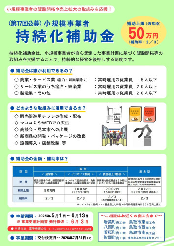 （画像）第17回 持続化補助金チラシ.jpg