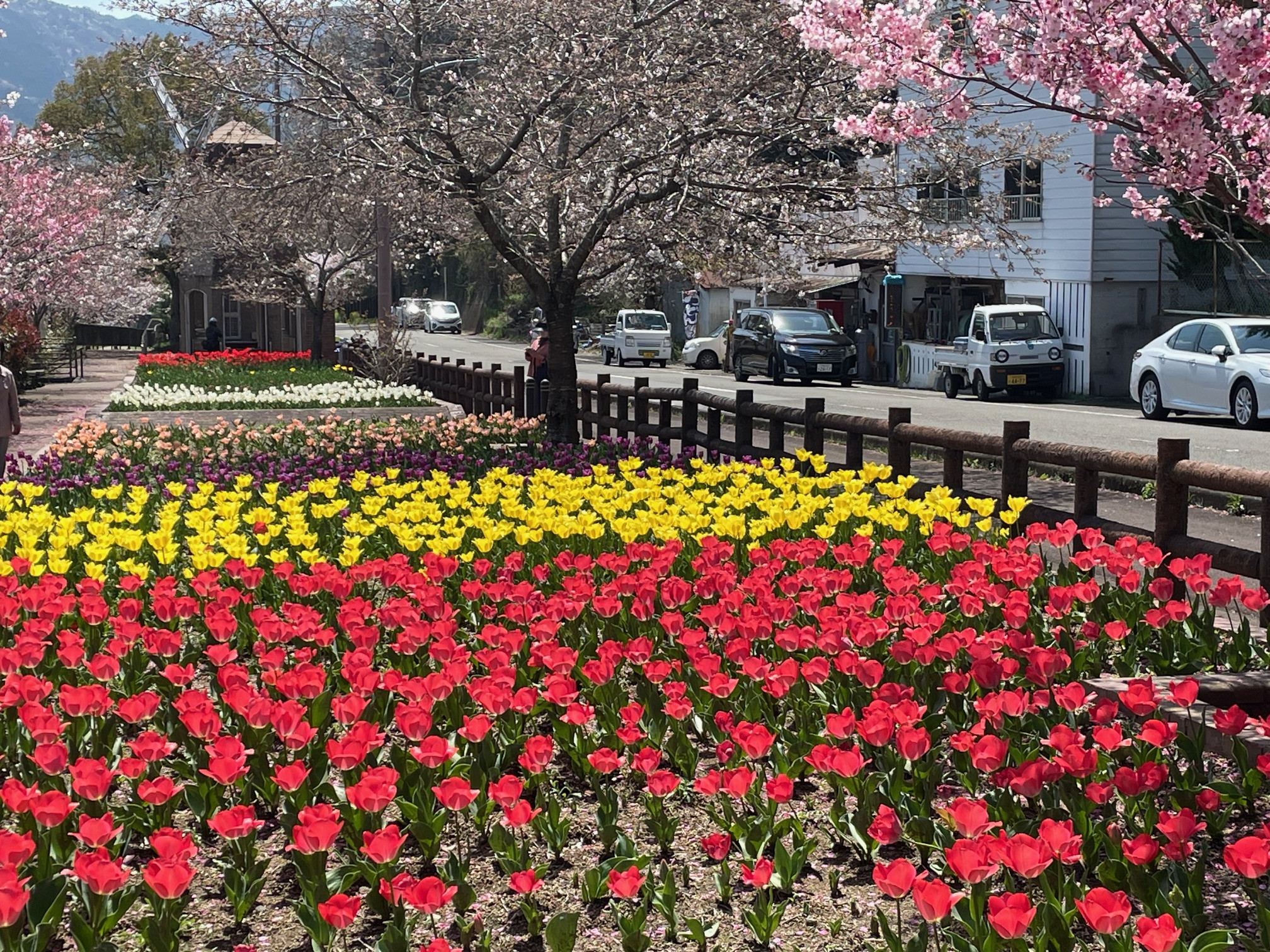 春爛漫　デレイケ公園