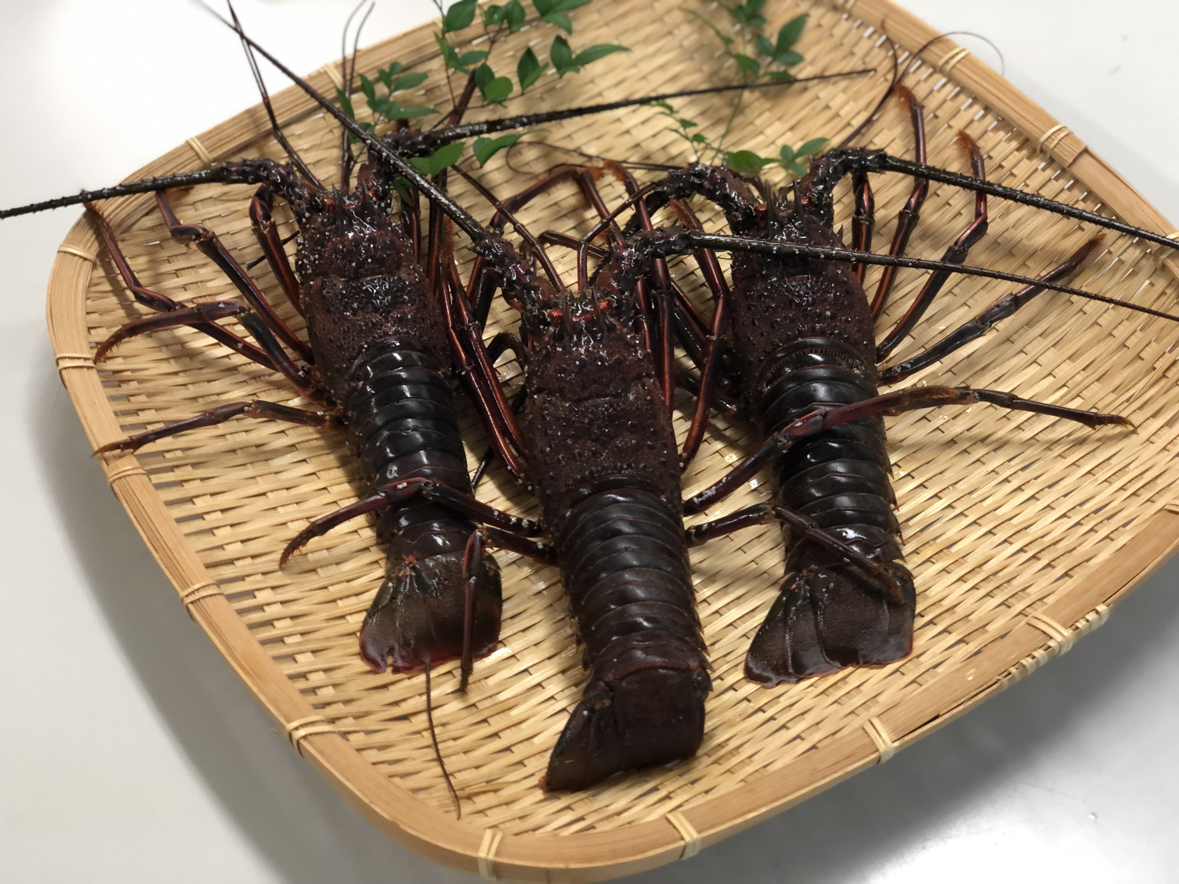 「2025 冬 みなみふるさと便」 通販開始のお知らせ