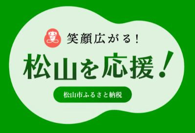 松山市ふるさと納税.JPG