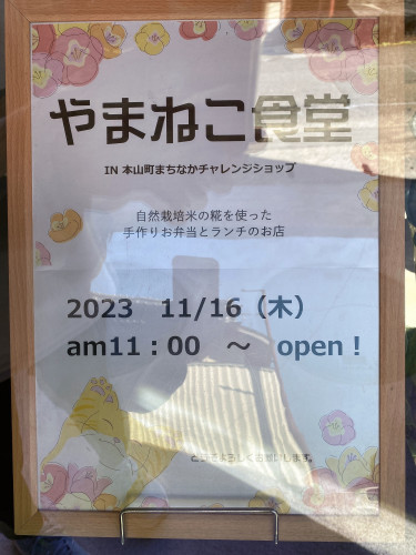 image1.jpeg