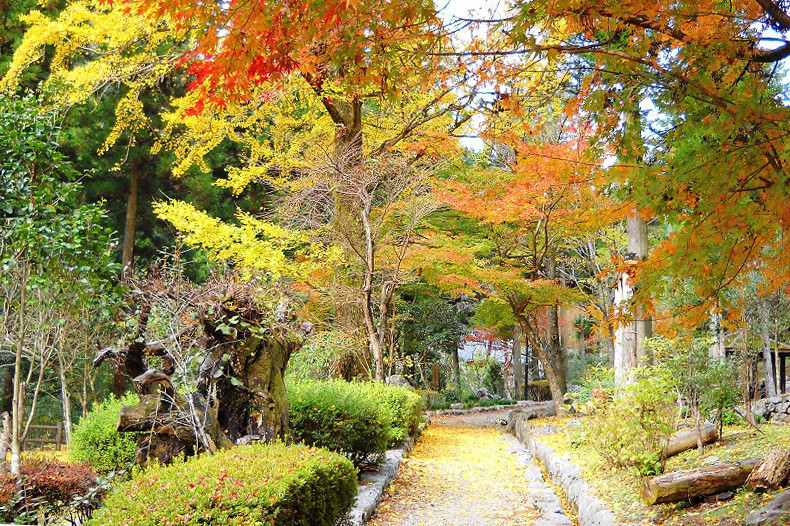 白滝公園２